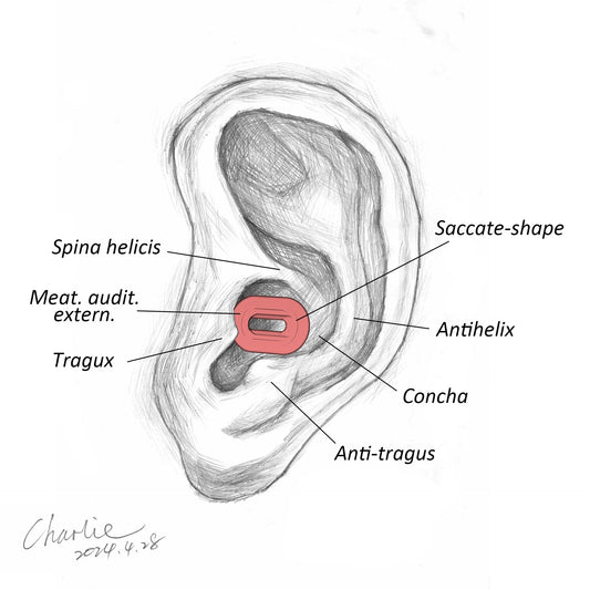 saccater noise reducing earplugs